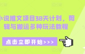 小说推文项目38天计划，剪辑与搬运多种玩法教程