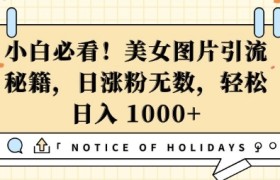小白必看，美女图片引流秘籍，日涨粉无数，轻松日入几张