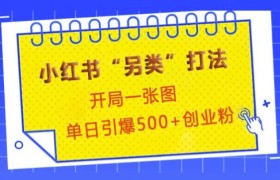 小红书“另类”打法，开局一张图，单日引爆500+精准创业粉