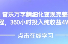 AI音乐精细化变现完整教程，360小时投入纯收益4W