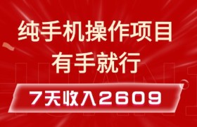 纯手机操作的小项目，有手就能做，7天收入2609+实操教程