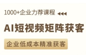 AI短视频矩阵获客实操课，企业低成本精准获客