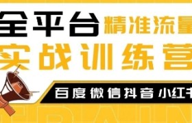 全平台精准流量实战训练营，百度微信抖音小红书SEO引流教程