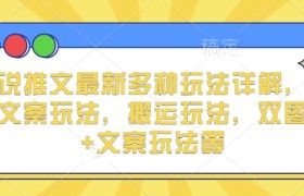 小说推文最新多种玩法详解，实况文案玩法，搬运玩法，双图片+文案玩法等