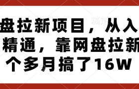 网盘拉新项目，从入门到精通，靠网盘拉新3个多月搞了16W
