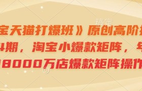 《淘宝天猫打爆班》原创高阶技术第64期，淘宝小爆款矩阵，年销售8000万店爆款矩阵操作