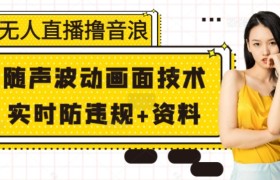 无人直播撸音浪+随声波动画面技术+实时防违规+资料