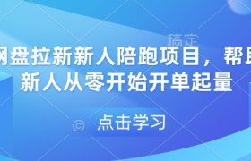网盘拉新新人陪跑项目，帮助新人从零开始开单起量