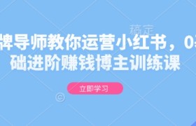 金牌导师教你运营小红书，0基础进阶赚钱博主训练课