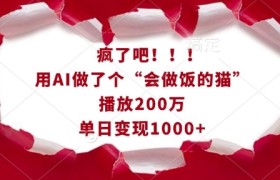 疯了吧！用AI做了个“会做饭的猫”，播放200万，单日变现1k