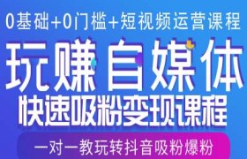 0基础+0门槛+短视频运营课程，玩赚自媒体快速吸粉变现课程，一对一教玩转抖音吸粉爆粉