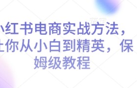 小红书电商实战方法，让你从小白到精英，保姆级教程