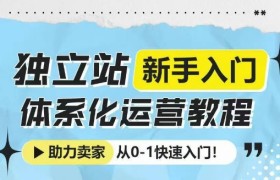 独立站新手入门体系化运营教程，助力独立站卖家从0-1快速入门!