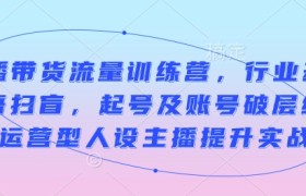 直播带货流量训练营，行业基础术语扫盲，起号及账号破层级，运营型人设主播提升实战