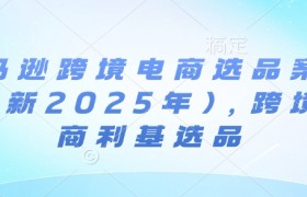 亚马逊跨境电商选品案例(更新2025年)，跨境电商利基选品