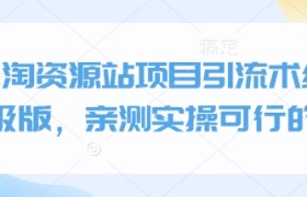小淘资源站项目引流术终极版，亲测实操可行的