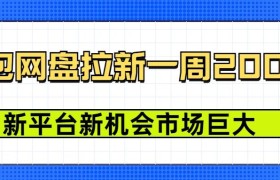 豆包网盘拉新，一周2k，新平台新机会