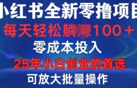 小红书全新纯零撸项目，只要有号就能玩，可放大批量操作，轻松日入100+