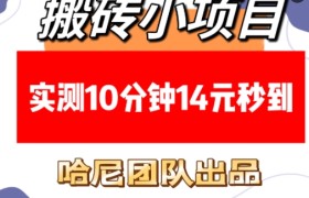 搬砖小项目，实测10分钟14元秒到，每天稳定几张(赠送必看稳定)