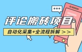 悟空采集评论搬砖_评论搬砖+自动采集【完整攻略】