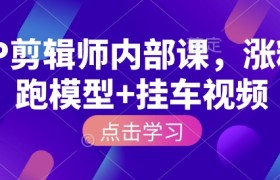 IP剪辑师内部课，涨粉跑模型+挂车视频