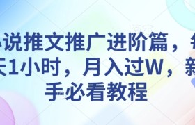 小说推文推广进阶篇，每天1小时，月入过W，新手必看教程