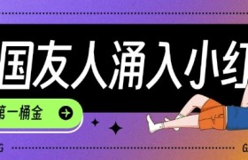 tiktok用户涌入小红书，我们如何利用信息差快速起号，小白如何抓住机遇赚取第一桶金