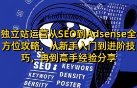 独立站运营从SEO到Adsense全方位攻略，从新手入门到进阶技巧，再到高手经验分享