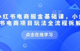小红书电商掘金课，小红书电商项目玩法全流程拆解