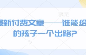 最新付费文章——谁能给我的孩子一个出路?
