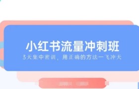 小红书流量冲刺班2025，最懂小红书的女人，快速教你2025年入局小红书
