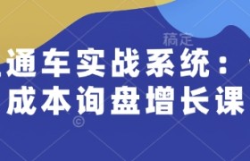 直通车实战系统：低成本询盘增长课，让个人通过技能实现升职加薪，让企业低成本获客，订单源源不断