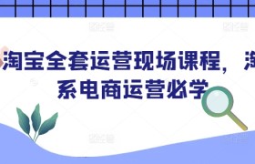 淘宝全套运营现场课程，淘系电商运营必学