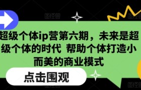 超级个体ip营第六期，未来是超级个体的时代  帮助个体打造小而美的商业模式