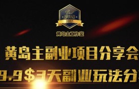 黄岛主副业分享会1期：3天3个副业玩法，速度上车