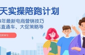 淘天实操陪跑计划，2024年最新电商营销技巧，包括直通车、大促策略等