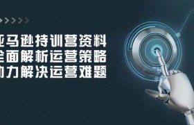 亚马逊持训营资料，全面解析运营策略，助力解决运营难题
