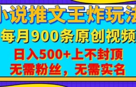 小说推文王炸玩法，一键代发，每月最多领900条原创视频，播放量收益日入5张，无需粉丝，无需实名