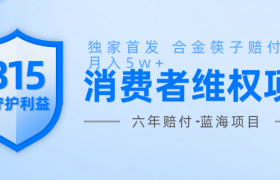 维Q赔付合金筷子玩法小白也能月入5w+风口项目实操