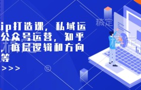 个人ip打造课，私域运营，公众号运营，知乎运营，底层逻辑和方向定位等