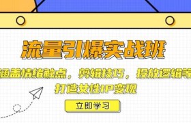 流量引爆实战班，涵盖情绪触点，剪辑技巧，投放逻辑等，打造女性IP变现