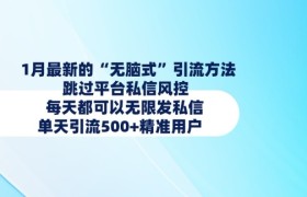 1月最新的无脑式引流方法，跳过平台私信风控，每天都可以无限发私信，单天引流500+精准用户