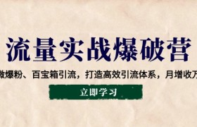 流量实战爆破营：企微爆粉、百宝箱引流，打造高效引流体系，月增收万元