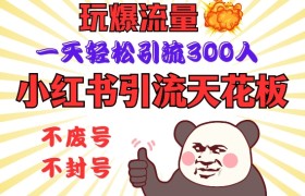 小红书引流天花板，玩爆流量，一天轻松引流300人，安全操作