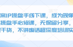全案IP操盘手线下课，成为现象级ip操盘手必修课，无保留分享，全是干货，不讲废话超深度培训实操