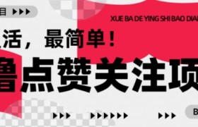 【0撸】最新点赞关注小项目，1毛起赚，1块起提