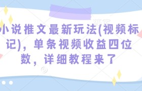 小说推文最新玩法(视频标记)，单条视频收益四位数，详细教程来了