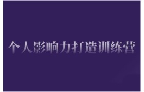 个人影响力打造训练营，掌握公域引流、私域运营、产品定位等核心技能，实现从0到1的个人IP蜕变