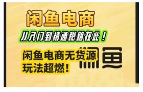 闲鱼电商实战课，从入门到精通秘籍在此，闲鱼电商无货源玩法超燃!