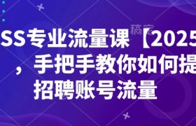 BOSS专业流量课【2025新课】，手把手教你如何提升招聘账号流量